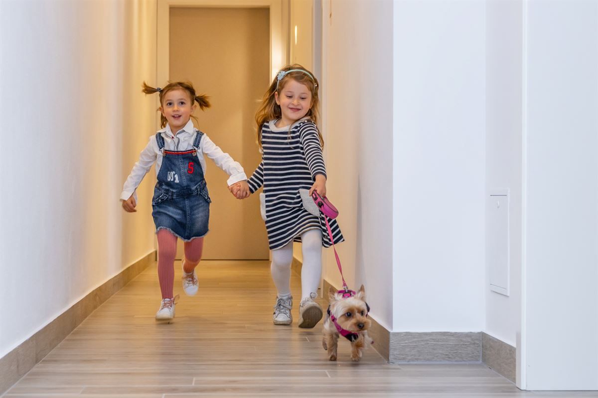 B&B Pet-Friendly - Maison Valentina