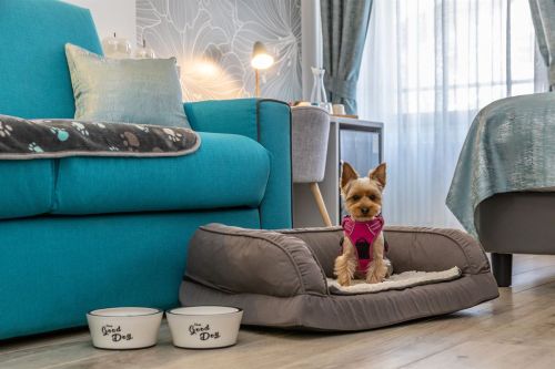 Pet Friendly Set- Maison Valentina